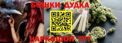 spice Новозыбков